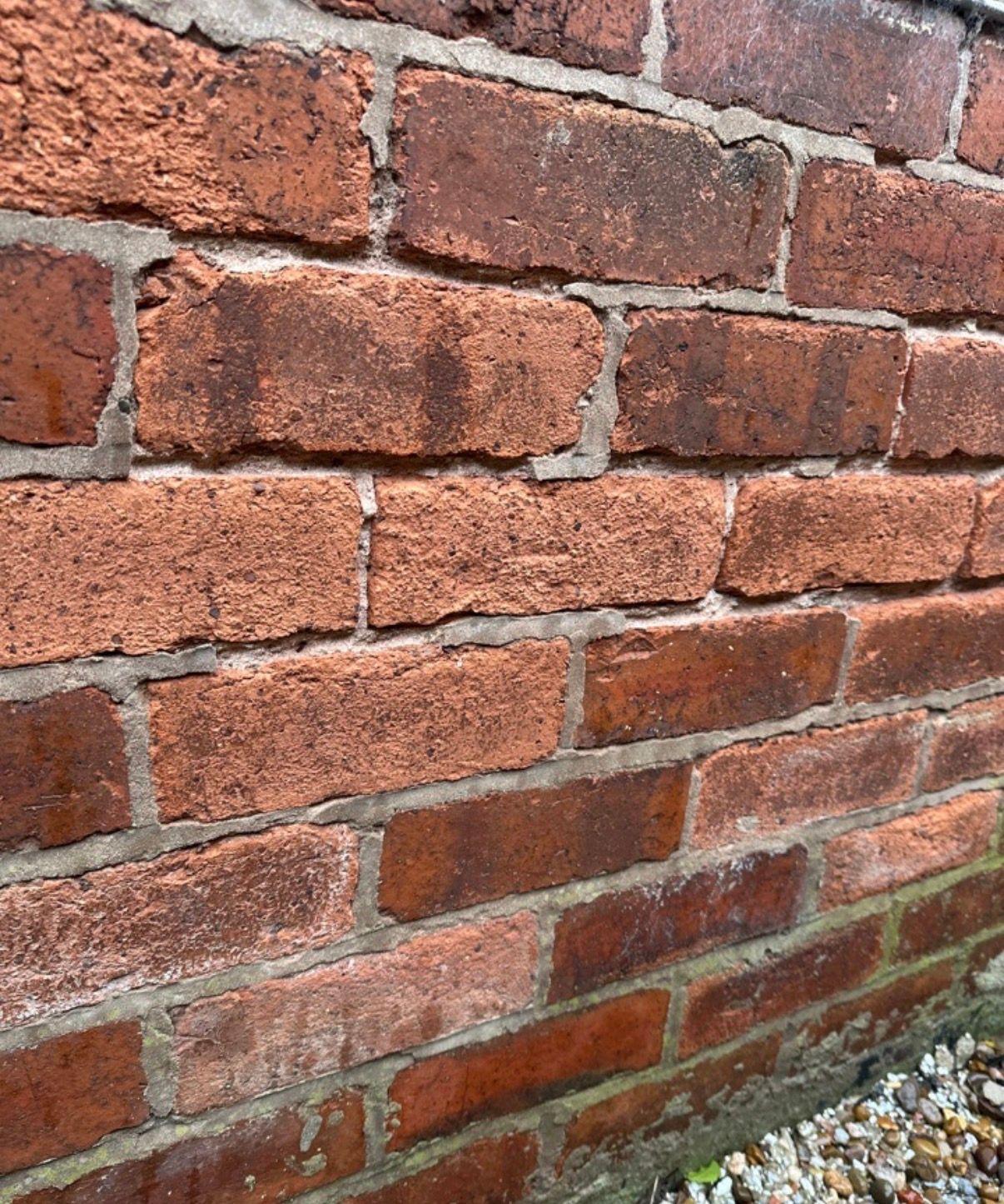 Pre-purchase Damp & Timber Surveys