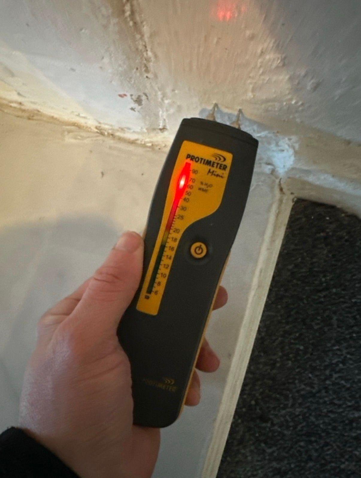 Damp Survey for Commercial Properties UK